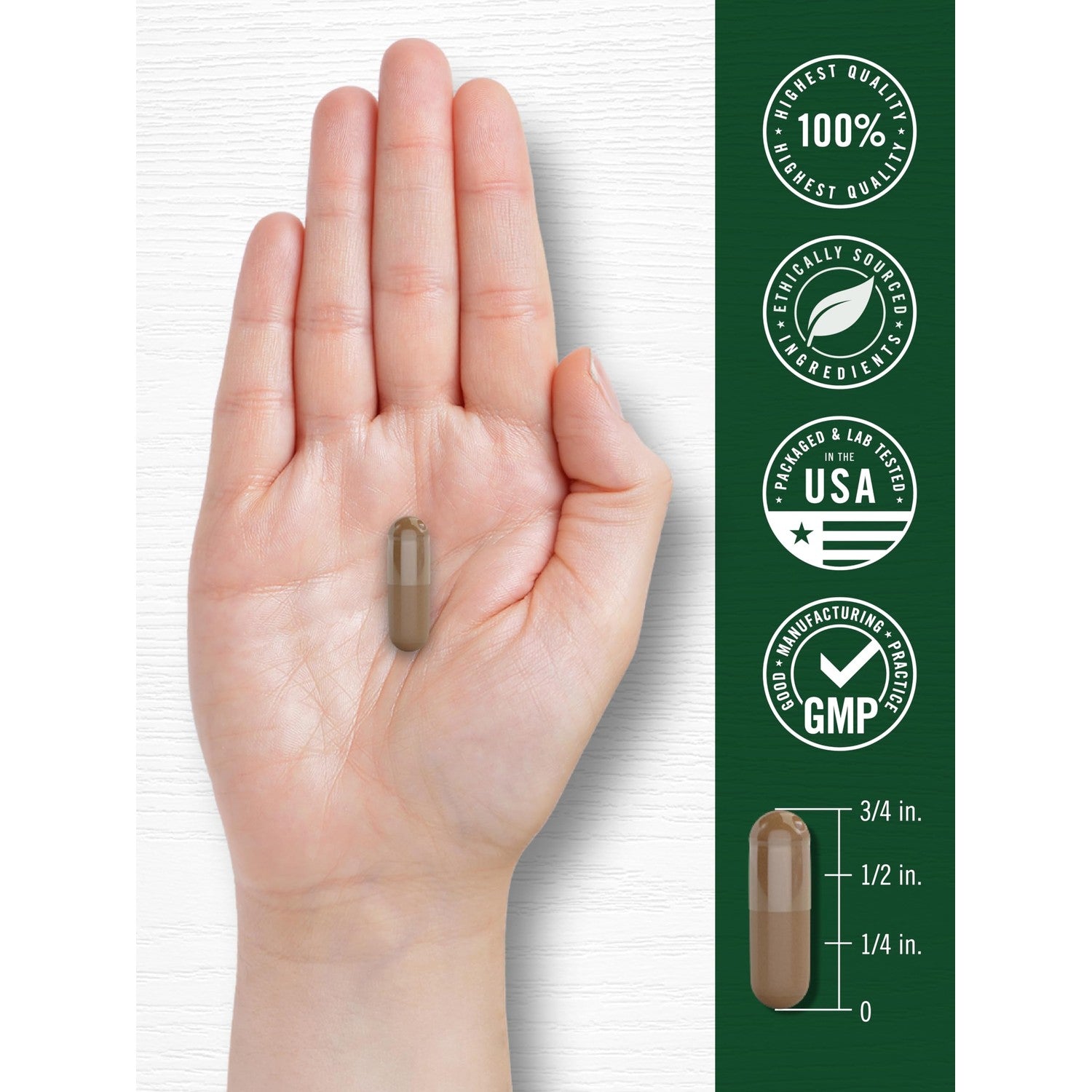 Carlyle Valerian Root Extract Supplement | 240 Capsules | Traditional Herbal Formula | Non-GMO & Gluten Free
