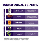 Host Defense MycoBotanicals Brain Support, 60 Capsules | Brain Support, Lion's Mane, Reishi and Cordyceps Mushroom, Herbal Supplement for Mental Clarity, Memory, and Focus Support