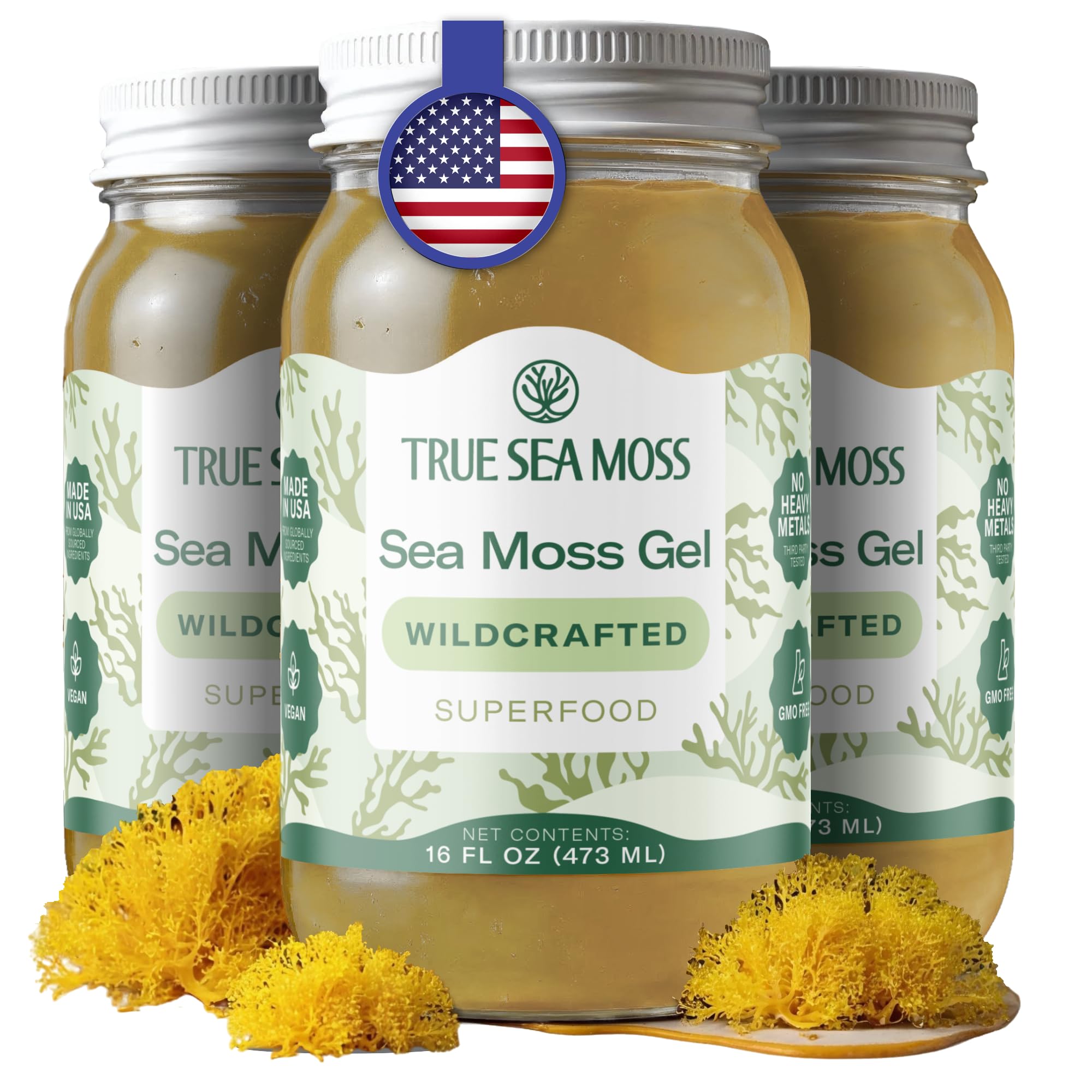 Buy now TrueSeaMoss Sea Moss Gel – Made in USA – Wildcrafted Seamoss, Fruits & Jarred Vegetables – Pineapple, Pack of 1 (Labels may Vary) Original 16 Fl Oz (Pack of 3) at indiglob india