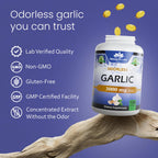 NaturaLife Labs Odorless Garlic – Concentrated 100:1 Garlic Extract with Olive Oil – 150 Softgels – Non-GMO, Gluten-Free