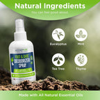 Buy now Rocket Pure Natural Foot & Shoe Deodorizer Spray - Foot Spray for Smelly Feet & Shoe Spray for Smelly Shoes - Removes, Controls & Prevents Odors - Made with Essential Oils - Made in USA (Mint, 4oz) at indiglob india