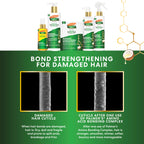 Palmer's Amino Bonding Hair Mask, Intense Conditioning Masque (2.1oz) | Heat Protectant with Multi-Action Natural Bond Technology, Anti Frizz, Adds Shine, Protects Hair Growth, All Hair Types