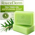 Roycederm Antifungal Bar Soap - Tea tree Oil Soap - Athlete’s Foot Treatment for Jock Itch & Ringworm - Medicated Antifungal Soap with Clotrimazole 1% - Tea Tree Oil Scent, 1 Pack