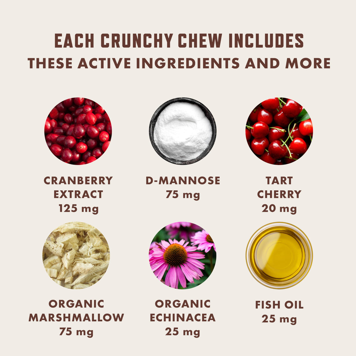 Rocco & Roxie Cat Urinary Tract Health Chews, Cranberry & D-Mannose