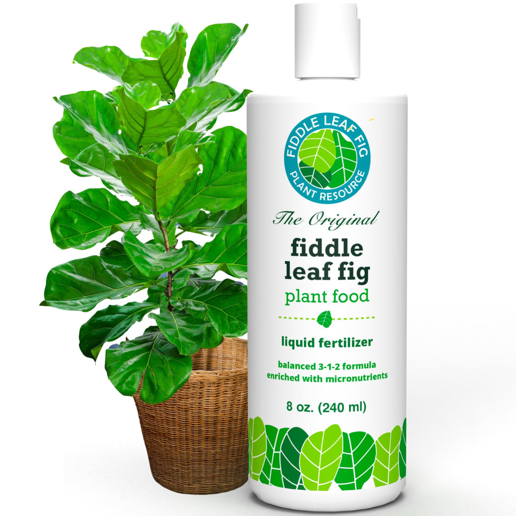 Fiddle Leaf Fig Plant Food, 3-1-2 NPK Liquid Fertilizer for Ficus, 8 oz