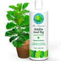 Fiddle Leaf Fig Plant Food, 3-1-2 NPK Liquid Fertilizer for Ficus, 8 oz
