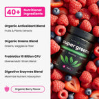 SuperGreens Powder, 40+ Organic Superfoods, Probiotics & Enzymes for Energy, Digestion, Gut Health & Bloating | Organic Fruit & Veggie Drink Mix, Daily Green Juice Smoothie Blend, Spinach, Noni Plus