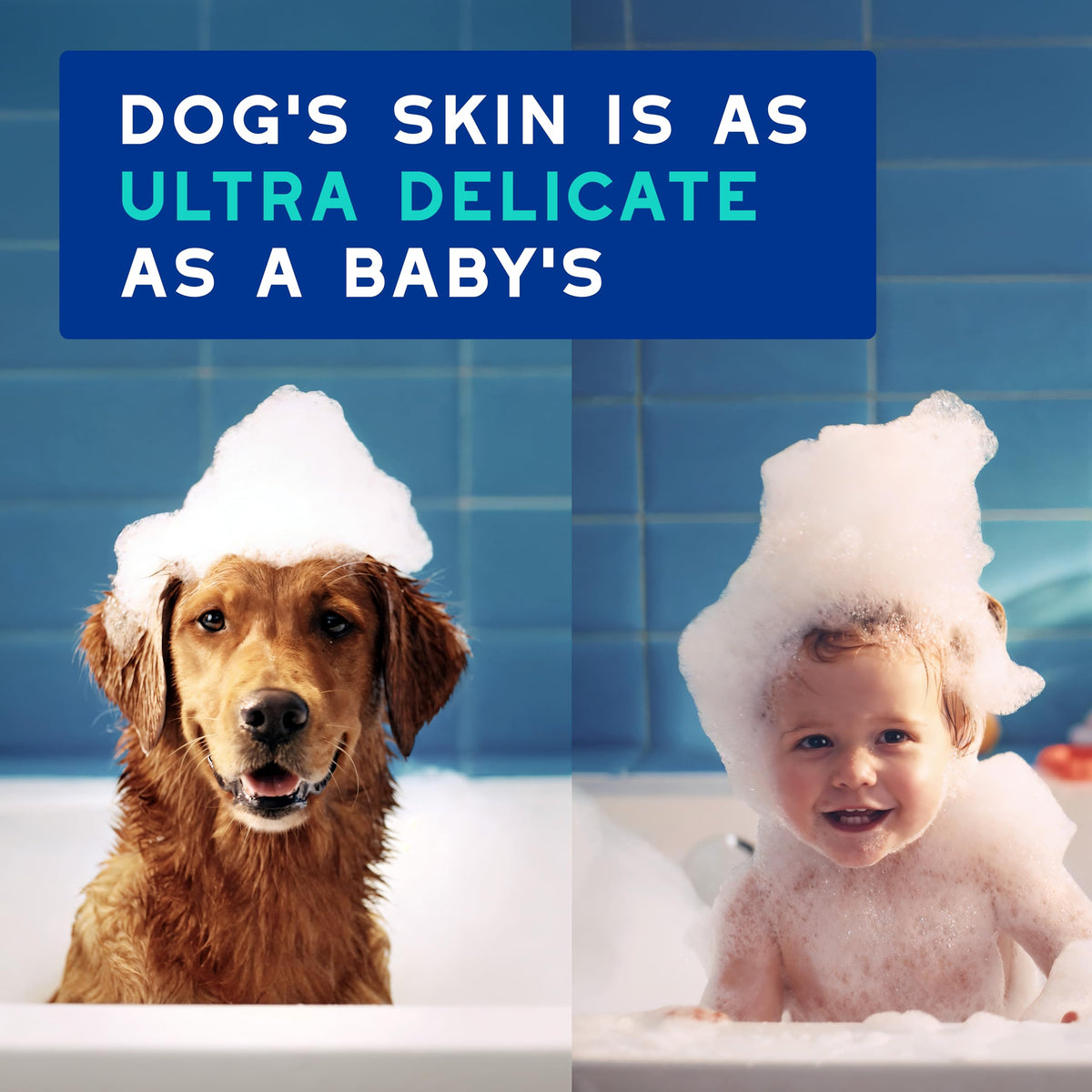 DOUXO SPA Dog Shampoo for Smelly Dogs, 16 fl oz