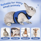 Buy now PETTOM Bunny Rabbit Harness with Stretchy Leash Cute Adjustable Buckle Breathable Mesh Vest for Kitten Small Pets Walking (Blue,S) at indiglob india