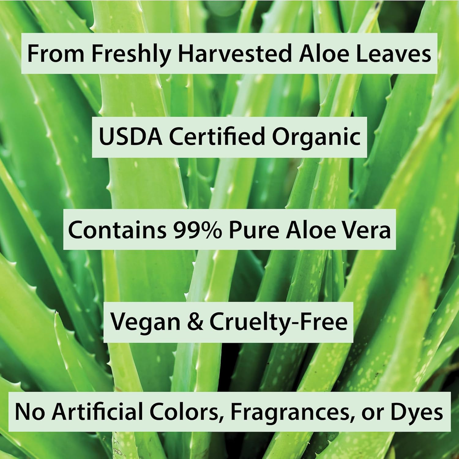 Buy now Organic Aloe Vera Gel for Skin, Face, Body, After Sun Care - USDA Certified Organic, 12 fl. oz. at indiglob india