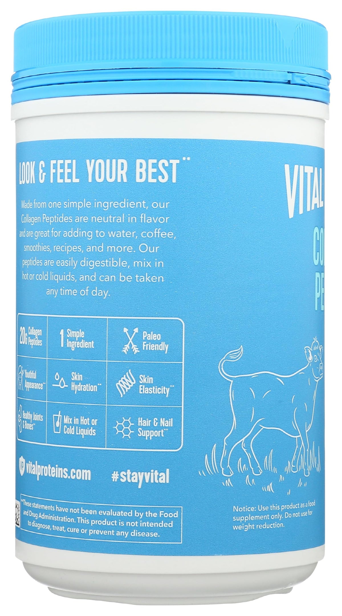 Vital Proteins Collagen Peptide Protein Powder Unflavored, 10 OZ