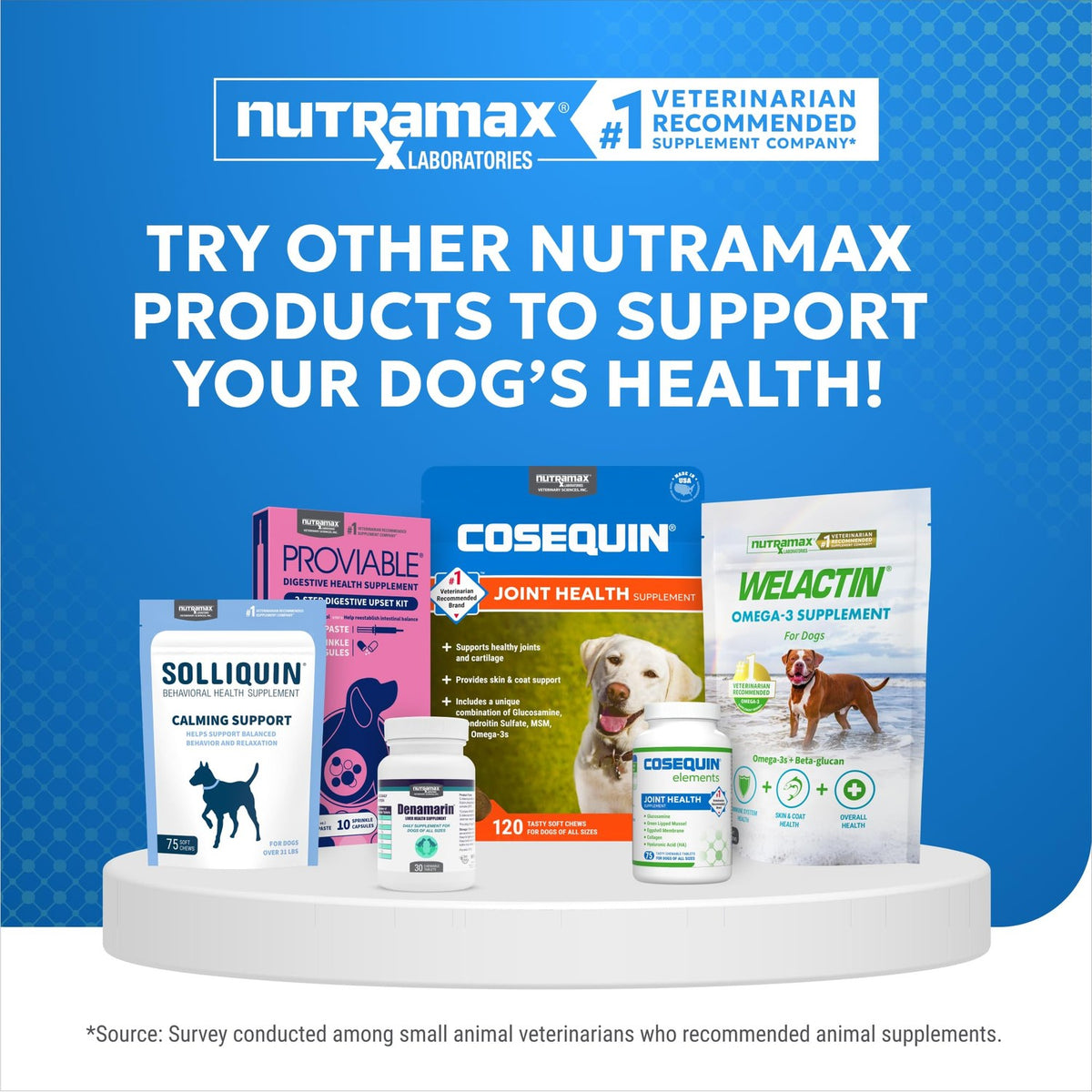 Nutramax Cosequin Elements Dog Joint Supplement, Green Lipped Mussel, 75ct