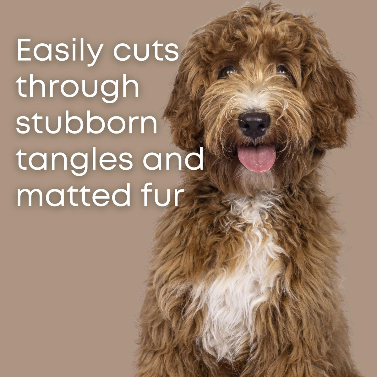 Dematting Comb for Dogs - Serrated Mat Remover for Curly Coats