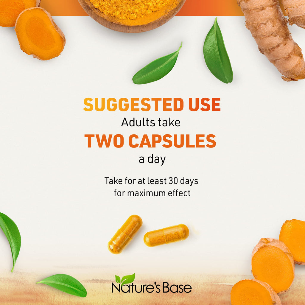 Nature's Base Turmeric and Ginger Supplement with Curcumin, ACV & BioPerine | Joint & Digestive Support, 95% Curcuminoids, Apple Cider Vinegar, Black Pepper Extract for Enhanced Absorption, 240 Capsules