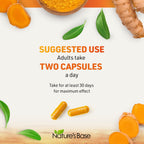 Nature's Base Turmeric and Ginger Supplement with Curcumin, ACV & BioPerine | Joint & Digestive Support, 95% Curcuminoids, Apple Cider Vinegar, Black Pepper Extract for Enhanced Absorption, 240 Capsules