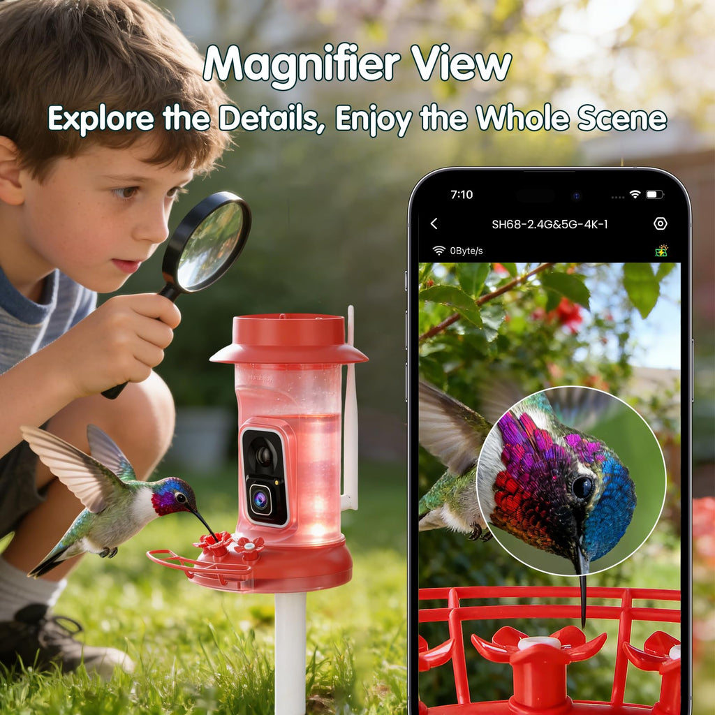 4K Hummingbird Feeder with Camera,No Subscription,Solar Powered