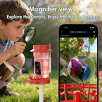 4K Hummingbird Feeder with Camera,No Subscription,Solar Powered
