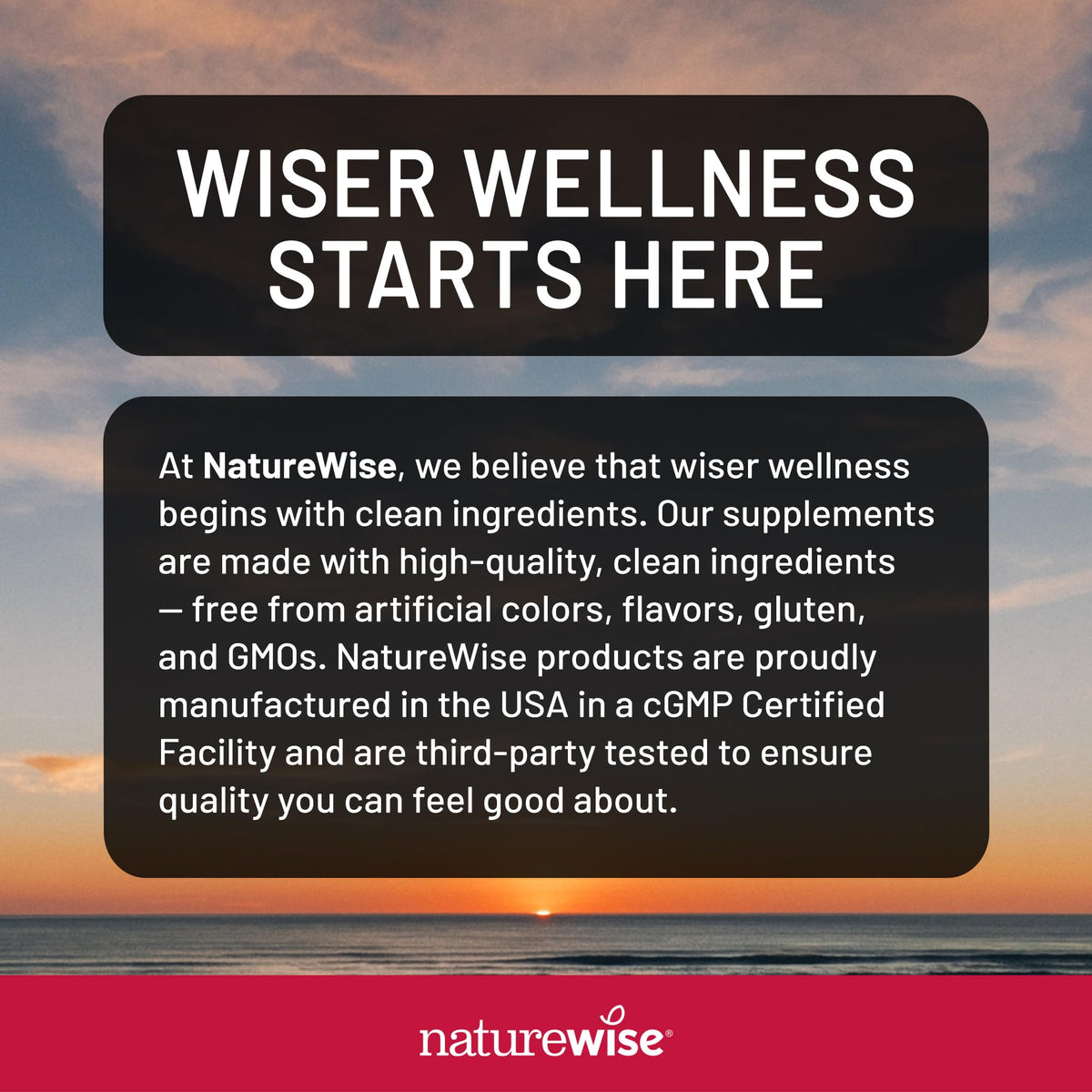 NatureWise Triple Strength Astaxanthin 12mg with AstaReal® - Vegan Antioxidant Supplement with Organic Coconut Oil - NSF Certified Gluten Free, 60 Softgels[60 Day Supply]