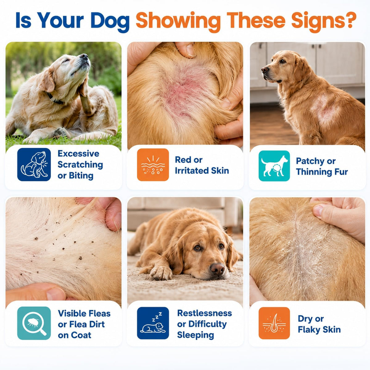 Carmelie Flea and Tick Prevention for Dogs, Flea & Tick + Itch Relief Chews