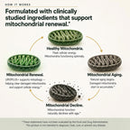 Liposomal Urolithin A Complex, 1250mg 10-in-1 with NAD+, NMD, & Resveratrol | Mitochondrial Energy, Cellular Health, Healthy Aging & Muscle Recovery Support