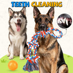 Tough Dog Toys for Aggressive Chewers – 3 Pack Tough Chew Toys for Large Dogs, Strong Rope Toys Ideal for Tug-of-War & Teeth Cleaning