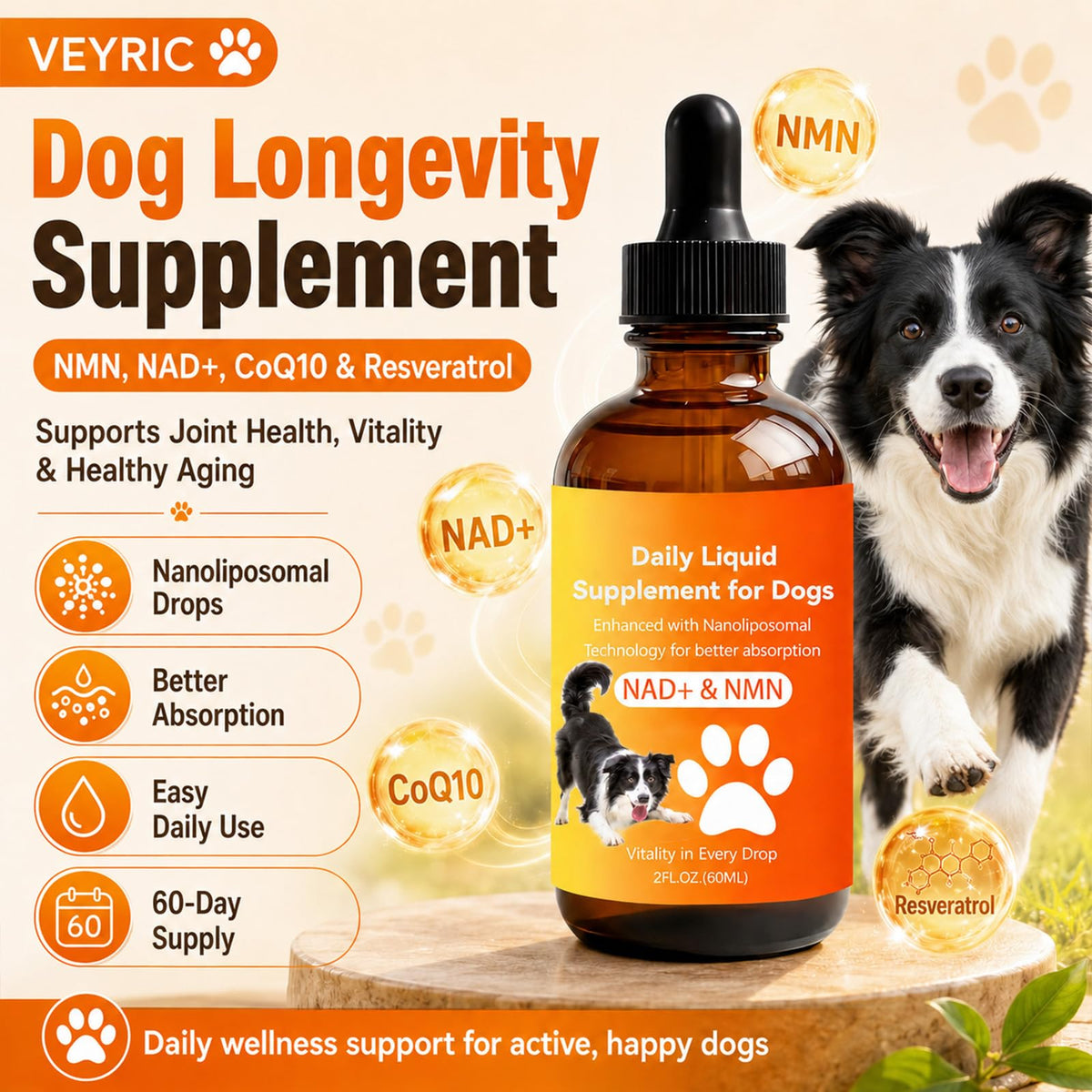 Dog Longevity Supplement with NMN, NAD+, CoQ10 & Resveratrol