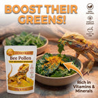 Organic Bee Pollen Powder for Bearded Dragons – HONEY&SUN 4oz Reptile Food