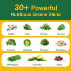 Greens Daily Gummies, Super Greens Gummies for Adults Superfood Multivitamin Gummy with Spirulina, Chlorella, Prebiotic Fiber, Fruit Veggie for Digestive & Gut Health, Adaptogens Supplement, 120 Count