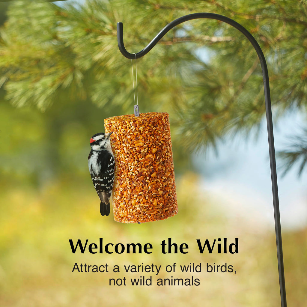 C&S Ready to Use Hot Pepper Bird Seed Cylinder, Spicy Wild Bird Outdoor Feeder with Hanger, 1.76 Pound Cylinder, 2 Pack