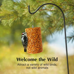C&S Ready to Use Hot Pepper Bird Seed Cylinder, Spicy Wild Bird Outdoor Feeder with Hanger, 1.76 Pound Cylinder, 2 Pack