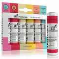 Buy now ArtNaturals Beeswax Lip Balm Gift Set â€“ 6 Pack Assorted Flavors with Coconut Oil, Aloe & Jojoba Oil â€“ Hydrating, Nourishing, Natural Lip Care at indiglob india
