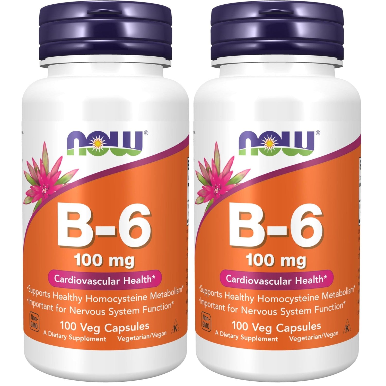 NOW Foods Supplements, Vitamin B-6 (Pyridoxine HCl) 100 mg, Cardiovascular Health, 250 Veg Capsules