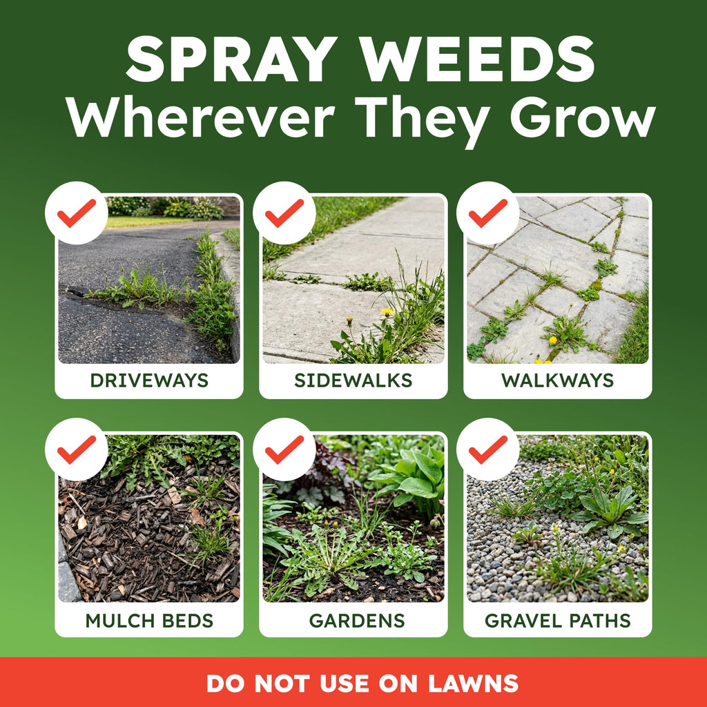 BugMD WeedHero Pet Safe Weed and Grass Killer Concentrate Kit