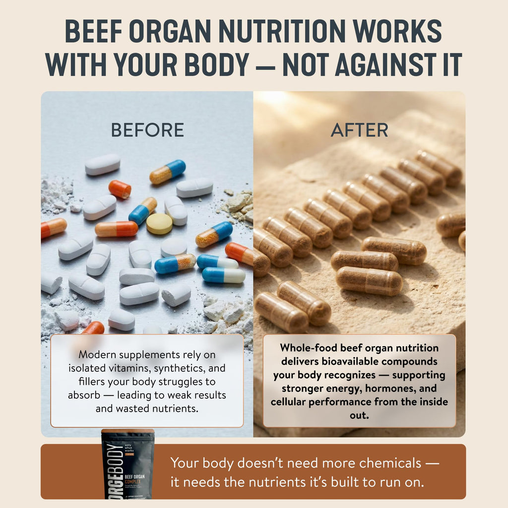 Forgebody Beef Liver & Organ Complex Supplement, Grass-Fed Liver, Heart, Bone Marrow, Pancreas, Testicles Ancestral Nutrition for Athletes and Active Men, Supports Energy + Recovery + Brain, 1 Month