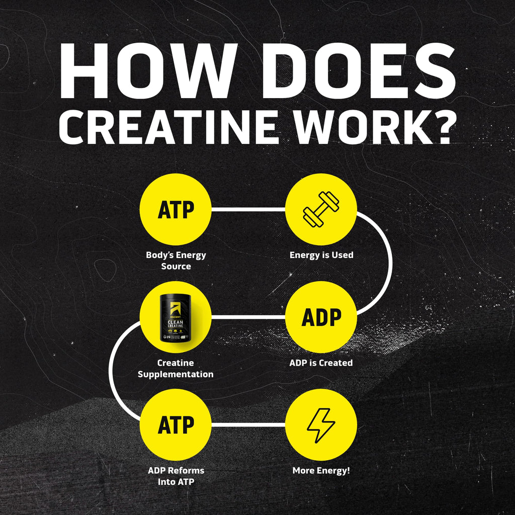 Ascent Clean Creatine Monohydrate, Creapure, Unflavored, 100 Servings