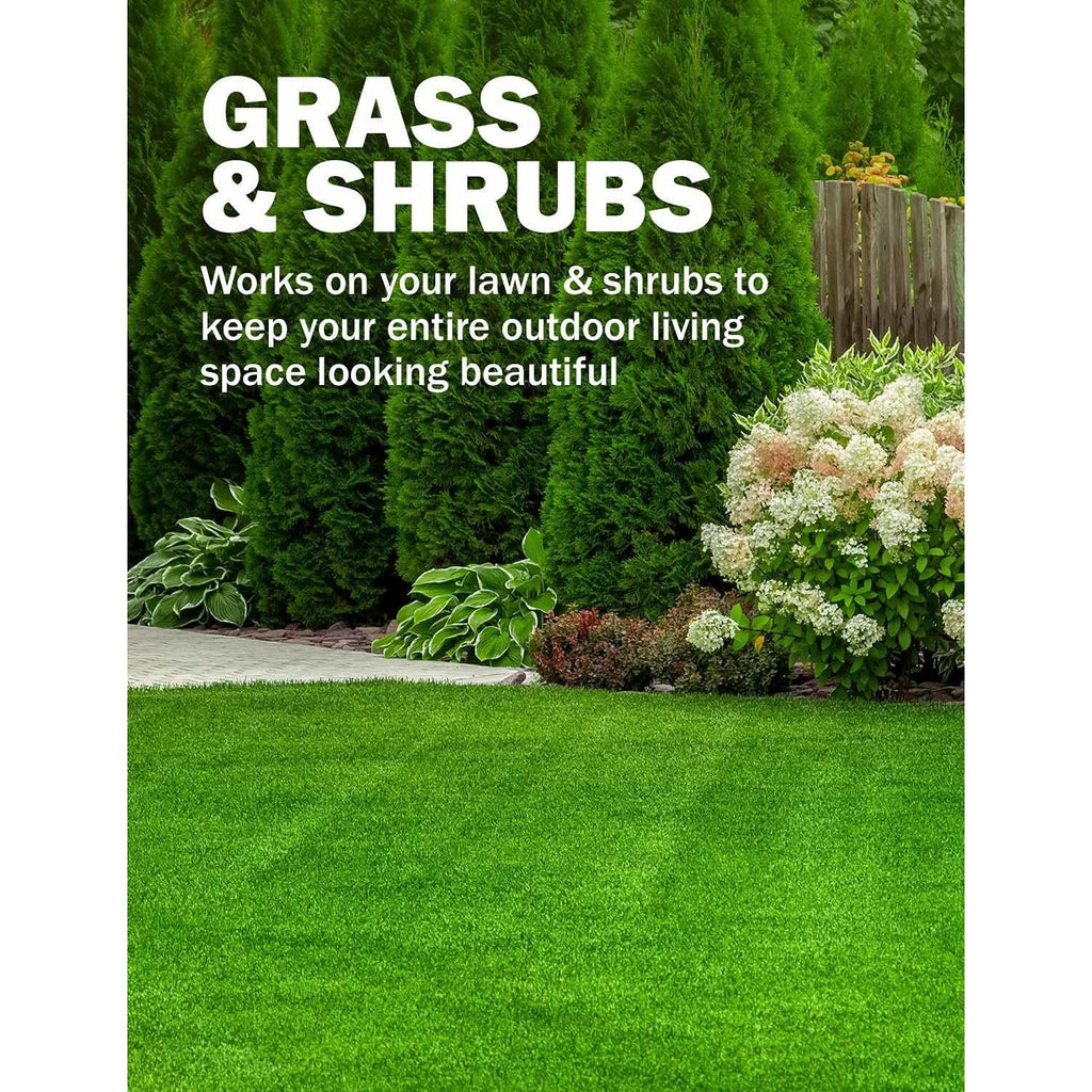 Seymour RENEW Grass and Shrub Spray Paint, Pristine Green, 17 oz. Can.