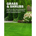 Seymour RENEW Grass and Shrub Spray Paint, Pristine Green, 17 oz. Can.