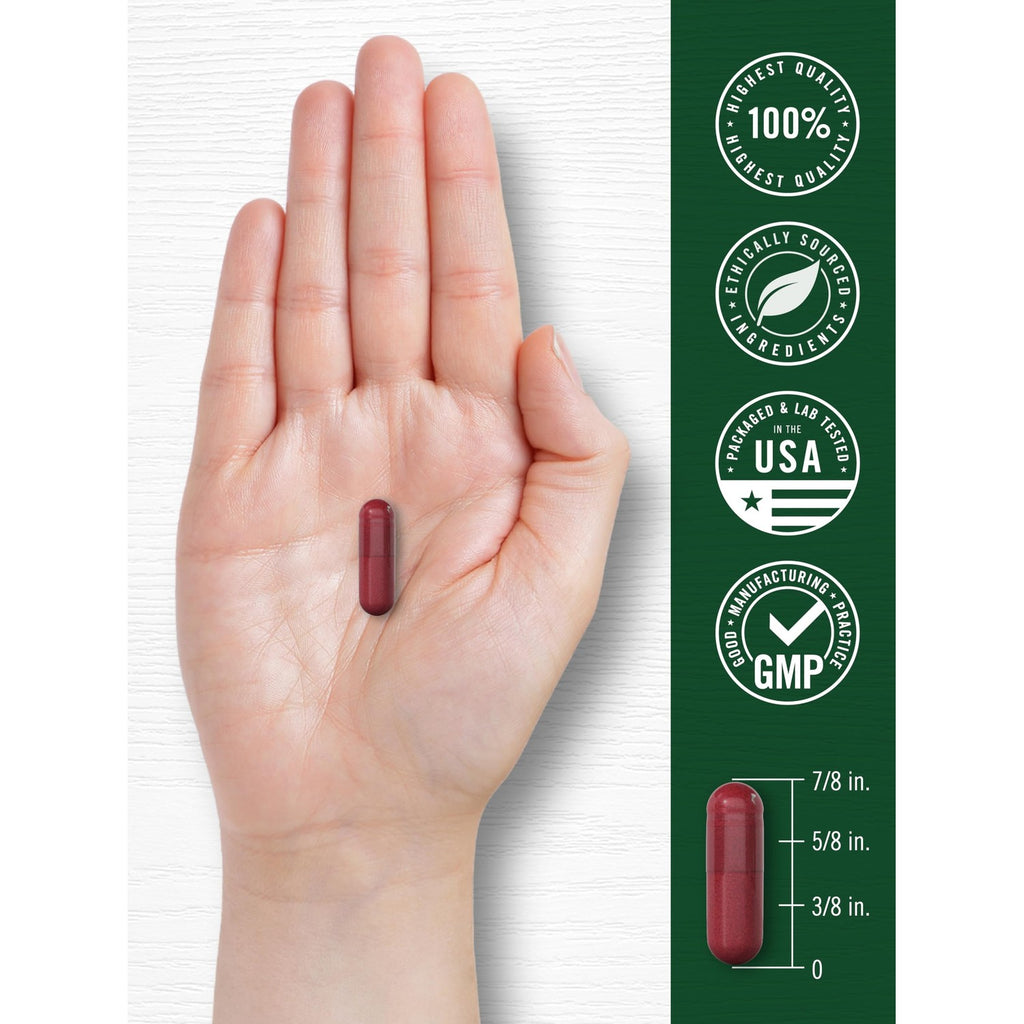 Carlyle Beet Root Capsules | 120 Count | Quick Release Capsules | Non-GMO and Gluten Free Supplement