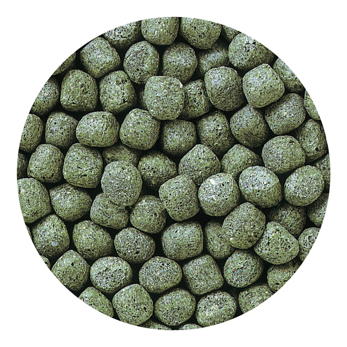 Hikari Cichlid Staple Floating Pellets Fish Food, Large Pellets, 8.8 oz. (250g)
