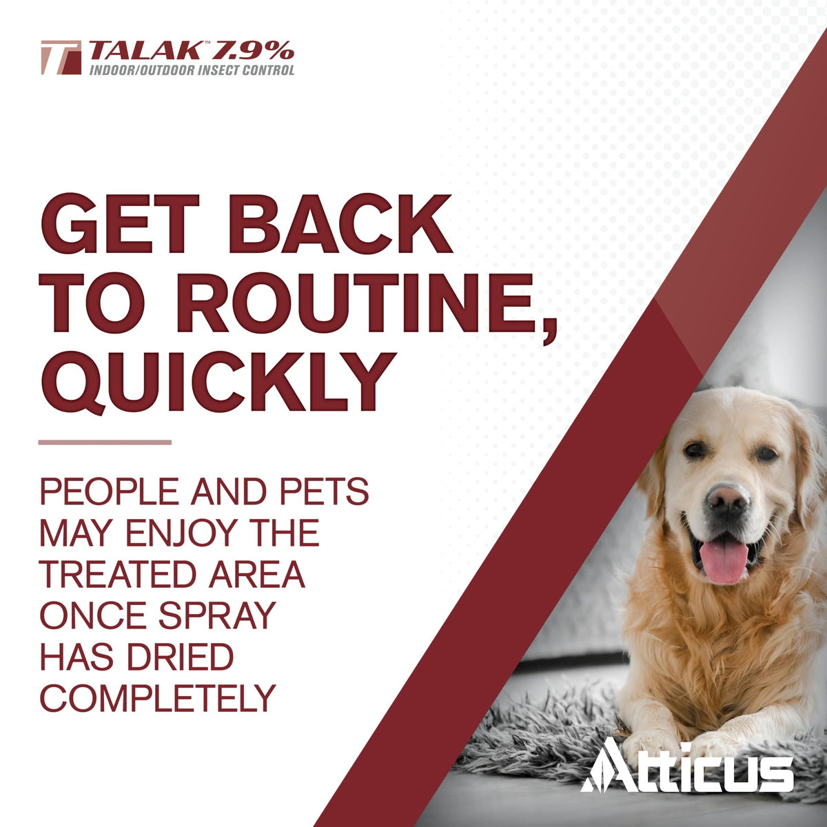 Atticus Talak 7.9% Indoor/Outdoor Bifenthrin Insecticide Concentrate (1Gal)