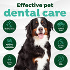 TropiClean Fresh Breath Dog Teeth Cleaning Dental Wipes, 50ct