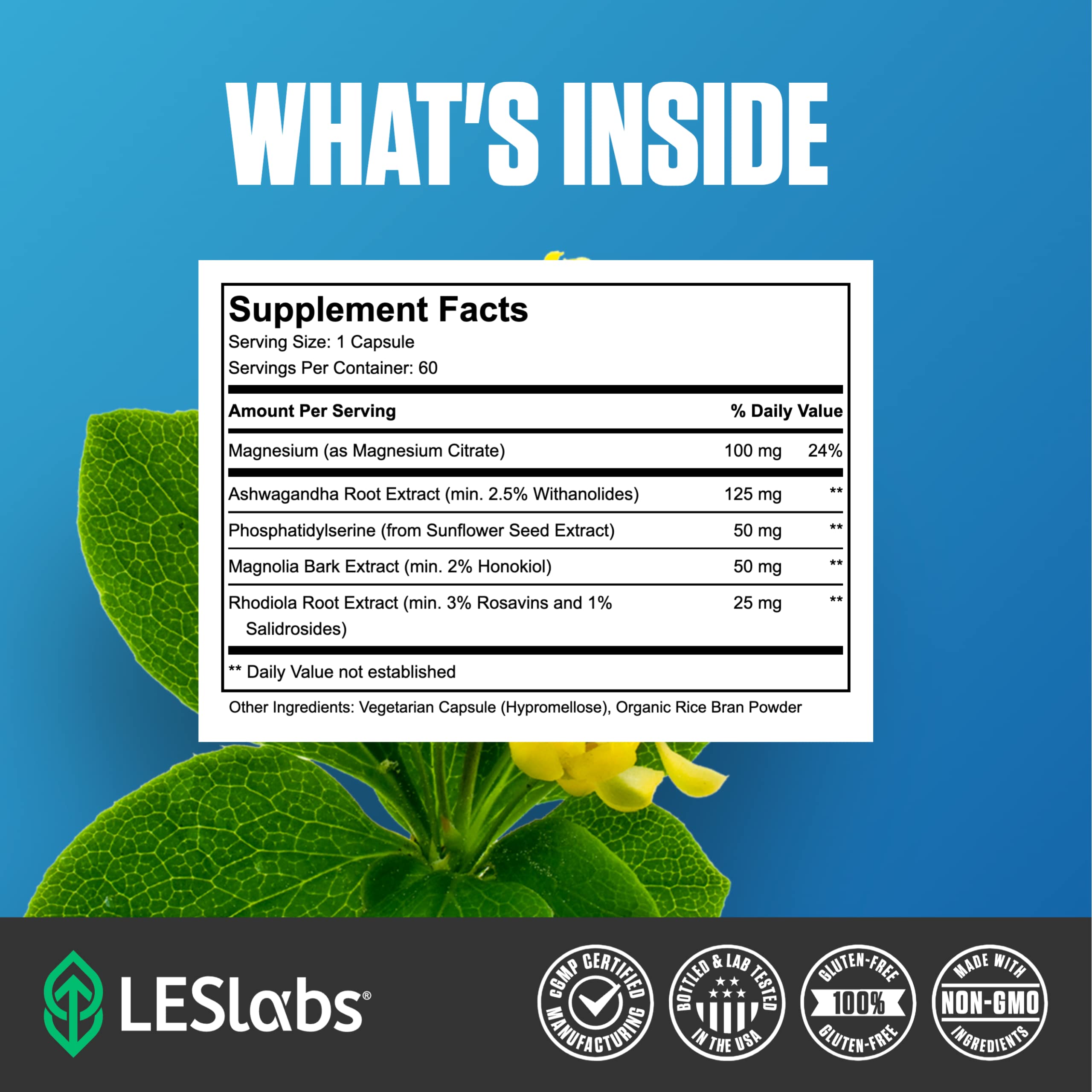 LES Labs Cortisol Health Stress & Sleep Support Supplement, 60 Capsules | Cortisol & Stress Support, Sleep & Relaxation, Ashwagandha, Magnesium, Rhodiola, Phosphatidylserine, Magnolia Bark, Non-GMO