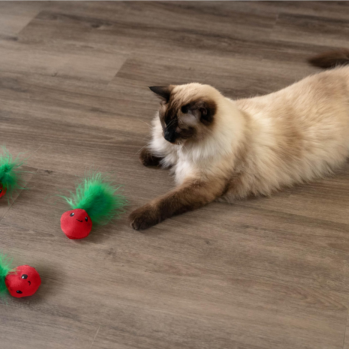 Catstages Strawbabies Dental Cat Chew Toy with Catnip & Feathers, 3-Pack