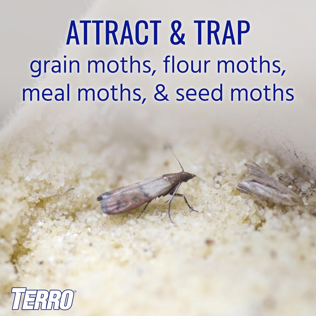 Buy now TERRO T2900 (Pack of 2) Pantry Moth Traps - Traps grain moths, flour moths, meal moths, and seed moths, (Packaging May Vary) at indiglob india