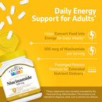 21st Century Niacinamide 500mg Prolonged Release, No Flush, 110 Count | Vitamin B-3 Niacinamide 500 mg, Energy Metabolism & Skin Health Support, No-Flush Formula, Prolonged Release, Non-GMO Tablets