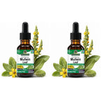 Nature's Answer Mullein Herb-Mullein Leaf Extract for Lungs - Alcohol Free, Non GMO, Made in USA - Supports Respiratory Function & Promotes Healthy Lungs-Mullein Leaf 1 Ounce Extract (Pack of 2)