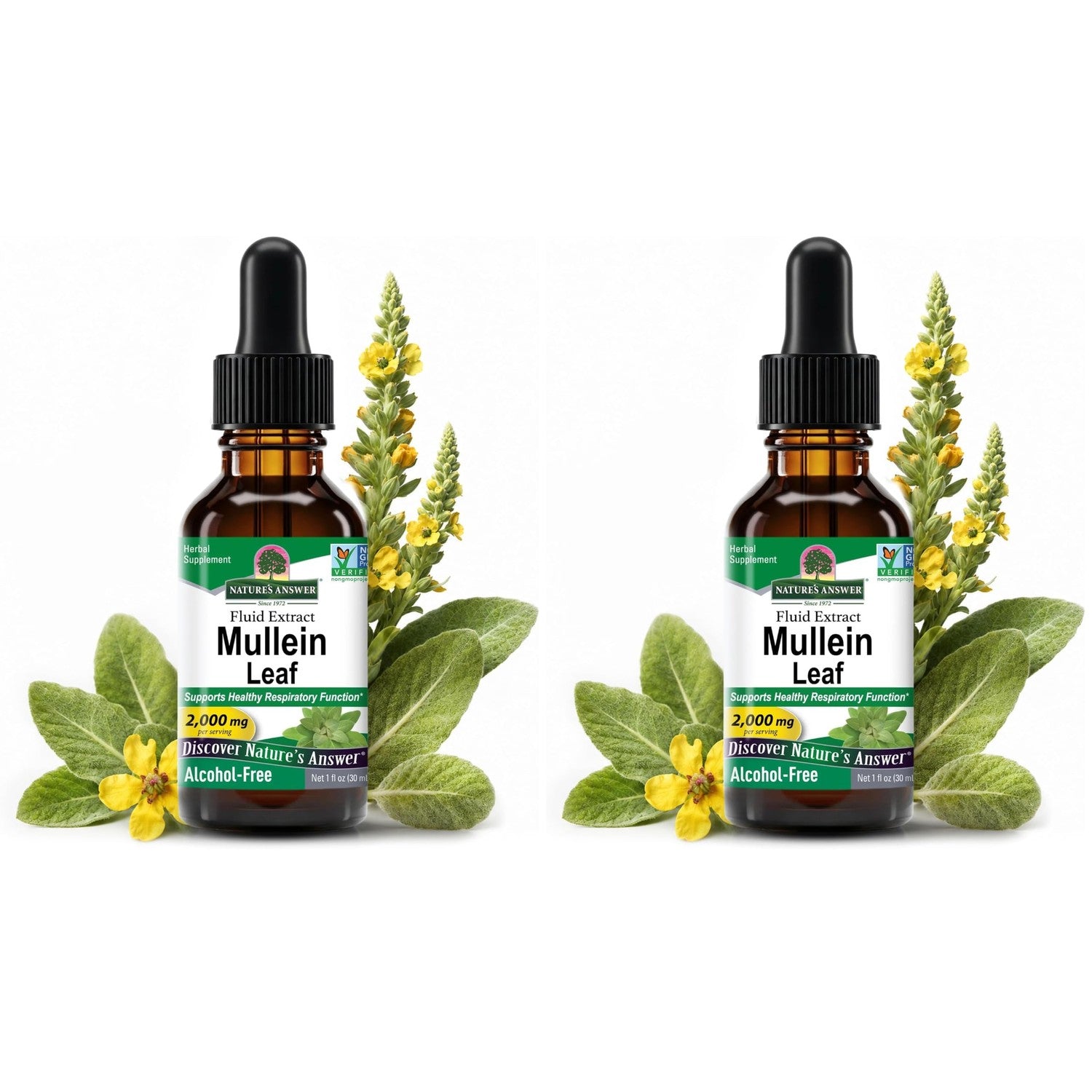 Nature's Answer Mullein Herb-Mullein Leaf Extract for Lungs - Alcohol Free, Non GMO, Made in USA - Supports Respiratory Function & Promotes Healthy Lungs-Mullein Leaf 1 Ounce Extract (Pack of 2)