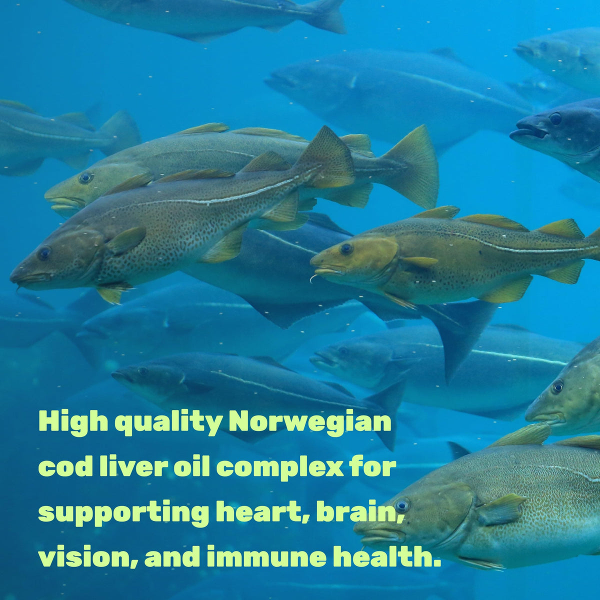 Wild Caught Cod Liver Oil 2,000mg Per Serving, 240 Softgels – Extra Strength EPA DHA Omega 3 with Vitamin D & A – Burpless, Lemon Flavored – Vision, Heart, Brain, & Immune Support