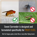 Dr. Killigan's Reusable Fruit Fly Traps for Indoors, 2 Refills