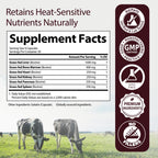 Grass-Fed Beef Organ - Liver, Heart, Kidney, Pancreas, Spleen & Bone Marrow